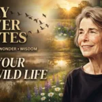 100+ Mary Oliver Quotes That Will Inspire You to Live a More Meaningful Life 100+ Mary Oliver Quotes That Will Inspire You to Live a More Meaningful Life